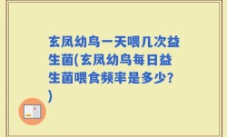玄凤幼鸟一天喂几次益生菌(玄凤幼鸟每日益生菌喂食频率是多少？)