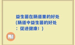 益生菌在肠道里的好处(肠道中益生菌的好处：促进健康！)