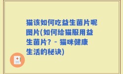 猫该如何吃益生菌片呢图片(如何给猫服用益生菌片？- 猫咪健康生活的秘诀)