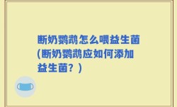 断奶鹦鹉怎么喂益生菌(断奶鹦鹉应如何添加益生菌？)