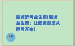 魔迹酵母益生菌(魔迹益生菌：让肠道健康从酵母开始)