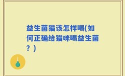 益生菌猫该怎样喝(如何正确给猫咪喝益生菌？)