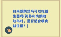 和尚鹦鹉幼鸟可以吃益生菌吗(饲养和尚鹦鹉幼鸟时，是否适合喂食益生菌？)
