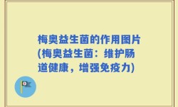 梅奥益生菌的作用图片(梅奥益生菌：维护肠道健康，增强免疫力)