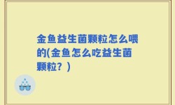 金鱼益生菌颗粒怎么喂的(金鱼怎么吃益生菌颗粒？)