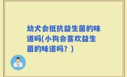 幼犬会抵抗益生菌的味道吗(小狗会喜欢益生菌的味道吗？)