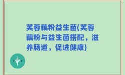 芙蓉藕粉益生菌(芙蓉藕粉与益生菌搭配，滋养肠道，促进健康)