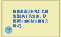 抗生素应该补充什么益生菌(关于抗生素，你需要知道的益生菌补充建议)