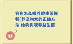 狗狗怎么喂养益生菌视频(养宠物犬的正确方法 给狗狗喂养益生菌)
