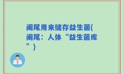 阑尾用来储存益生菌(阑尾：人体“益生菌库”)