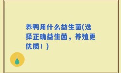 养鸭用什么益生菌(选择正确益生菌，养殖更优质！)