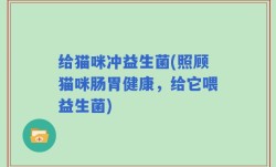 给猫咪冲益生菌(照顾猫咪肠胃健康，给它喂益生菌)