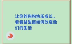 让你的狗狗快乐成长，看看益生菌如何改变他们的生活