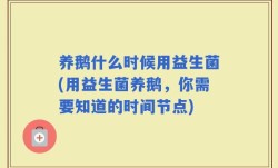 养鹅什么时候用益生菌(用益生菌养鹅，你需要知道的时间节点)