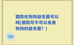 鹦鹉吃狗狗益生菌可以吗(鹦鹉可不可以食用狗狗的益生菌？)