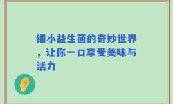 细小益生菌的奇妙世界，让你一口享受美味与活力