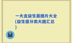 一大盒益生菌图片大全(益生菌分类大图汇总)