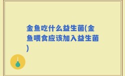 金鱼吃什么益生菌(金鱼喂食应该加入益生菌)