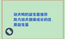 幼犬喝的益生菌推荐 助力幼犬健康成长的优质益生菌