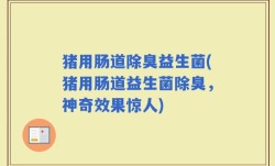 猪用肠道除臭益生菌(猪用肠道益生菌除臭，神奇效果惊人)