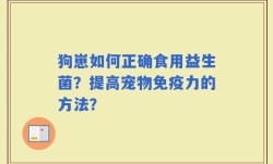 狗崽如何正确食用益生菌？提高宠物免疫力的方法？