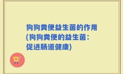 狗狗粪便益生菌的作用(狗狗粪便的益生菌：促进肠道健康)