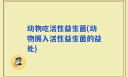 动物吃活性益生菌(动物摄入活性益生菌的益处)