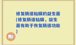 修复肠道粘膜的益生菌(修复肠道粘膜，益生菌有助于恢复肠道功能)