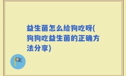益生菌怎么给狗吃呀(狗狗吃益生菌的正确方法分享)