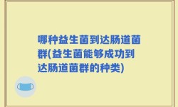 哪种益生菌到达肠道菌群(益生菌能够成功到达肠道菌群的种类)