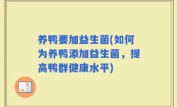 养鸭要加益生菌(如何为养鸭添加益生菌，提高鸭群健康水平)