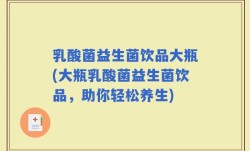 乳酸菌益生菌饮品大瓶(大瓶乳酸菌益生菌饮品，助你轻松养生)