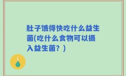 肚子饿得快吃什么益生菌(吃什么食物可以摄入益生菌？)
