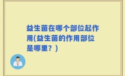 益生菌在哪个部位起作用(益生菌的作用部位是哪里？)