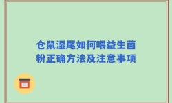 仓鼠湿尾如何喂益生菌粉正确方法及注意事项