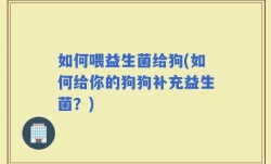 如何喂益生菌给狗(如何给你的狗狗补充益生菌？)