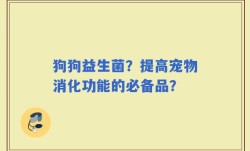 狗狗益生菌？提高宠物消化功能的必备品？