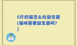 6斤的猫怎么吃益生菌(猫咪需要益生菌吗？)