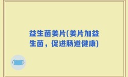 益生菌姜片(姜片加益生菌，促进肠道健康)