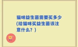 猫咪益生菌需要买多少(给猫咪买益生菌该注意什么？)