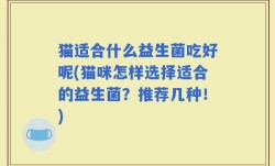 猫适合什么益生菌吃好呢(猫咪怎样选择适合的益生菌？推荐几种！)