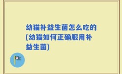 幼猫补益生菌怎么吃的(幼猫如何正确服用补益生菌)