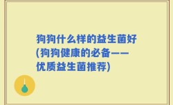 狗狗什么样的益生菌好(狗狗健康的必备——优质益生菌推荐)