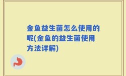 金鱼益生菌怎么使用的呢(金鱼的益生菌使用方法详解)