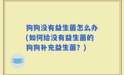 狗狗没有益生菌怎么办(如何给没有益生菌的狗狗补充益生菌？)