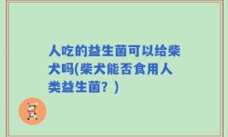 人吃的益生菌可以给柴犬吗(柴犬能否食用人类益生菌？)