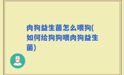 肉狗益生菌怎么喂狗(如何给狗狗喂肉狗益生菌)