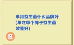 羊用益生菌什么品牌好(羊吃哪个牌子益生菌效果好)