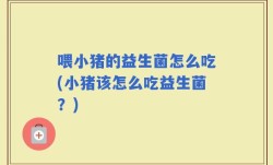 喂小猪的益生菌怎么吃(小猪该怎么吃益生菌？)