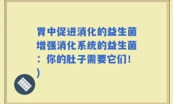 胃中促进消化的益生菌增强消化系统的益生菌：你的肚子需要它们！)